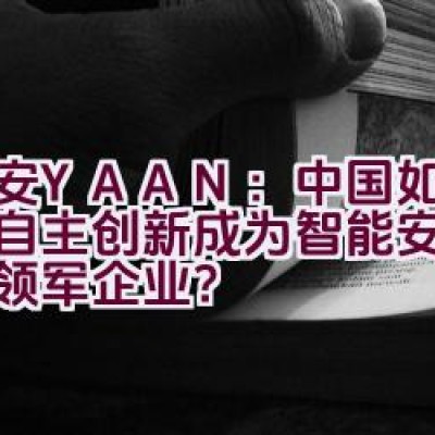 亚安YAAN：中国如何凭借自主创新成为智能安防行业的领军企业？