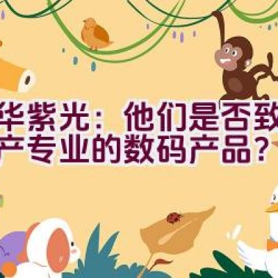 清华紫光：他们是否致力于生产专业的数码产品？