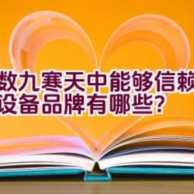 在数九寒天中能够信赖的焊接设备品牌有哪些？