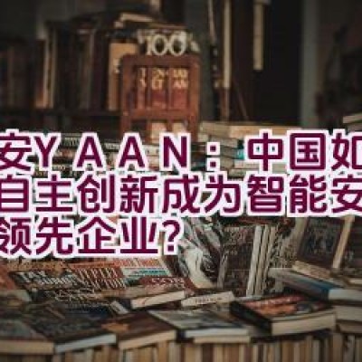 亚安YAAN：中国如何凭借自主创新成为智能安防领域的领先企业？