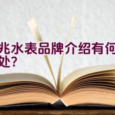 京兆水表品牌介绍有何独特之处？