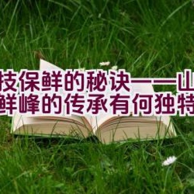 科技保鲜的秘诀——山东品牌鲜峰的传承有何独特之处？