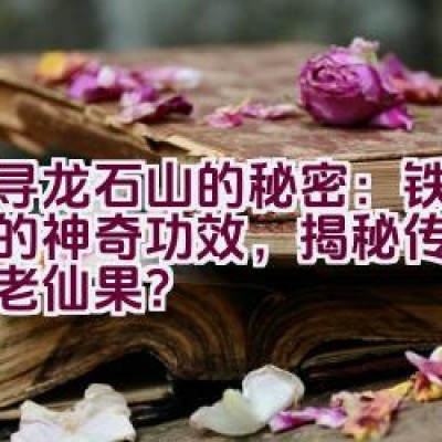 探寻龙石山的秘密：铁皮石斍的神奇功效，揭秘传说中的不老仙果？