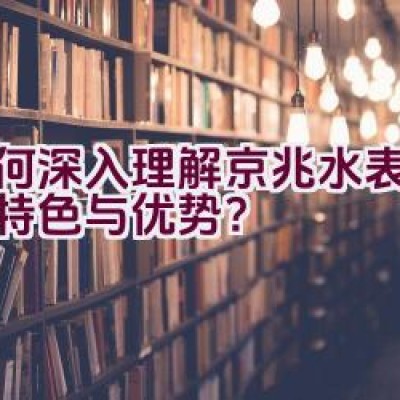 如何深入理解京兆水表品牌的特色与优势？