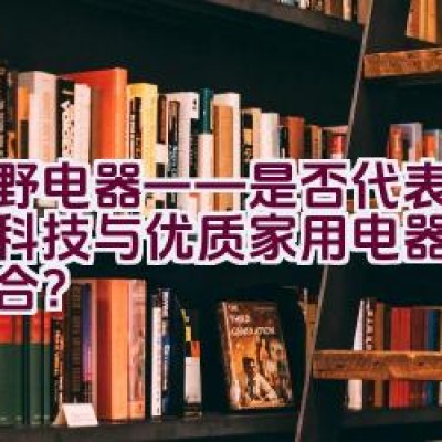 夏野电器——是否代表着卓越科技与优质家用电器的完美结合？