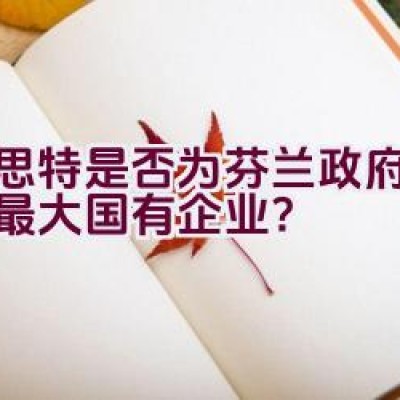 耐思特是否为芬兰政府拥有的最大国有企业？