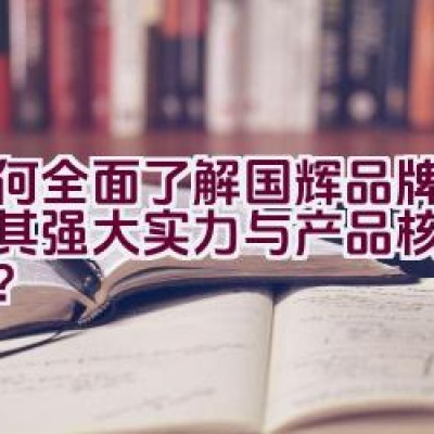 如何全面了解国辉品牌，探究其强大实力与产品核心竞争力？