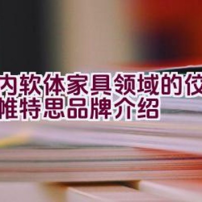 “国内软体家具领域的佼佼者：帷特思品牌介绍”