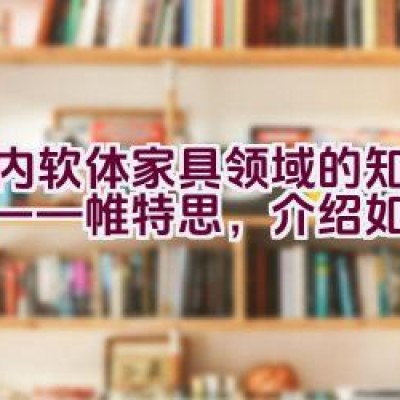 国内软体家具领域的知名品牌——帷特思，介绍如何？