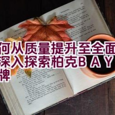 如何从质量提升至全面服务：深入探索柏克BAYKEE品牌