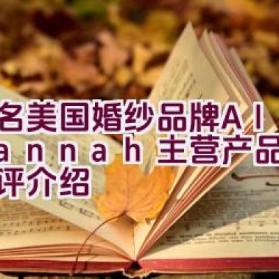 知名美国婚纱品牌Alan Hannah主营产品及品牌点评介绍