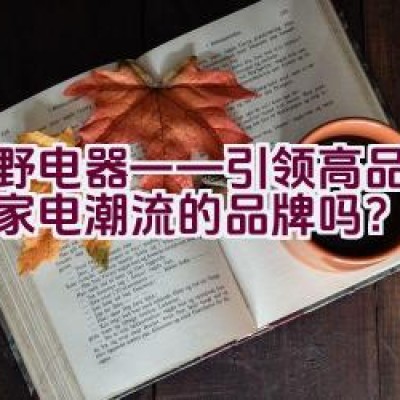 夏野电器——引领高品质科技家电潮流的品牌吗？