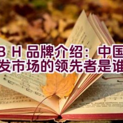 KBH品牌介绍：中国布艺沙发市场的领先者是谁？