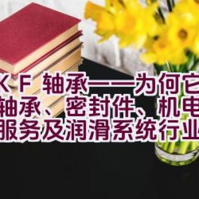 “SKF轴承——为何它是全球轴承、密封件、机电一体化、服务及润滑系统行业的领导者？”