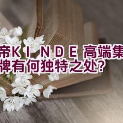 金帝（KINDE）高端集成灶品牌有何独特之处？