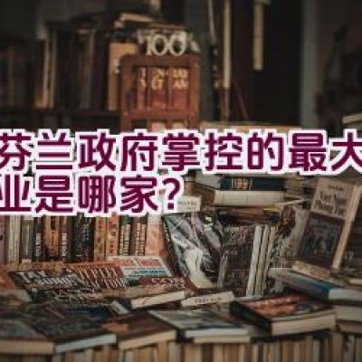 由芬兰政府掌控的最大国有企业是哪家？