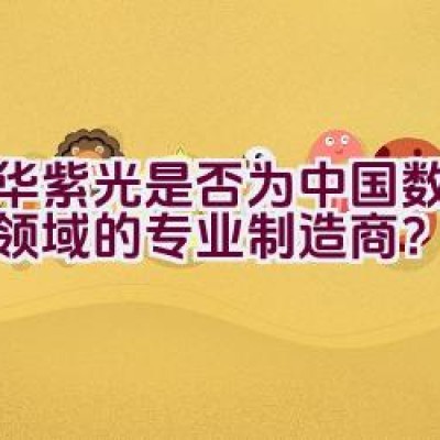 清华紫光是否为中国数码产品领域的专业制造商？