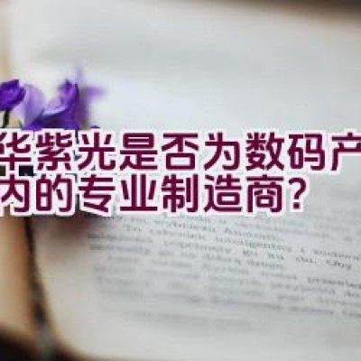 清华紫光是否为数码产品领域内的专业制造商？