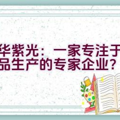 清华紫光：一家专注于数码产品生产的专家企业？