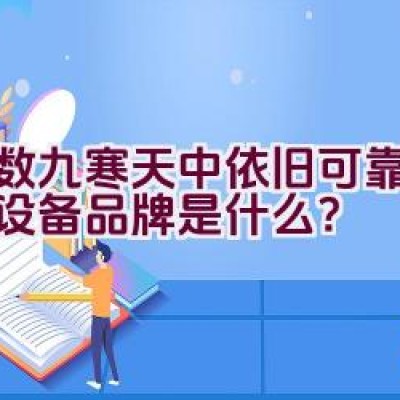 “在数九寒天中依旧可靠的焊接设备品牌是什么？”