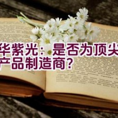 清华紫光：是否为顶尖的数码产品制造商？