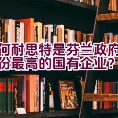 为何耐思特是芬兰政府所持股份最高的国有企业？