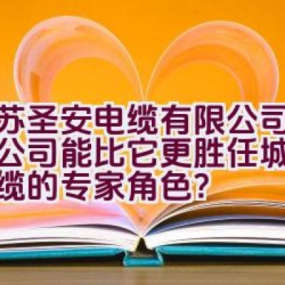 江苏圣安电缆有限公司：哪个公司能比它更胜任城市电线电缆的专家角色？