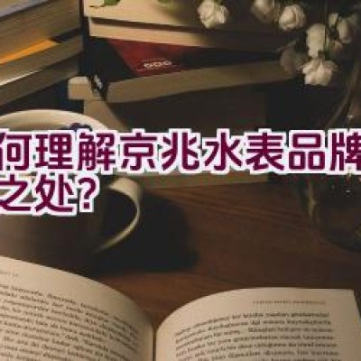 如何理解京兆水表品牌的独特之处？