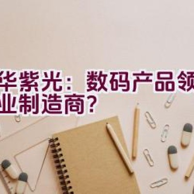 清华紫光：数码产品领域的专业制造商？