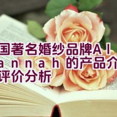 美国著名婚纱品牌Alan Hannah的产品介绍与品牌评价分析