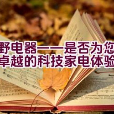 夏野电器——是否为您提供了卓越的科技家电体验？