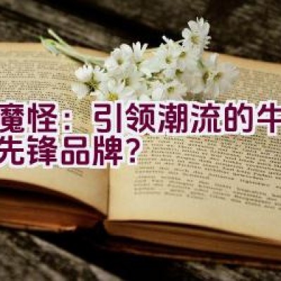 小魔怪：引领潮流的牛仔时尚先锋品牌？