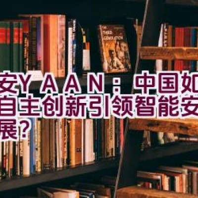 亚安YAAN：中国如何凭借自主创新引领智能安防行业发展？