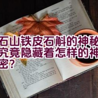 龙石山铁皮石斛的神秘面纱，究竟隐藏着怎样的神仙果实秘密？