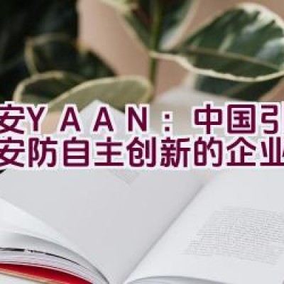 亚安YAAN：中国引领智能安防自主创新的企业是吗？