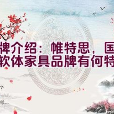 品牌介绍：帷特思，国内知名软体家具品牌有何特色？