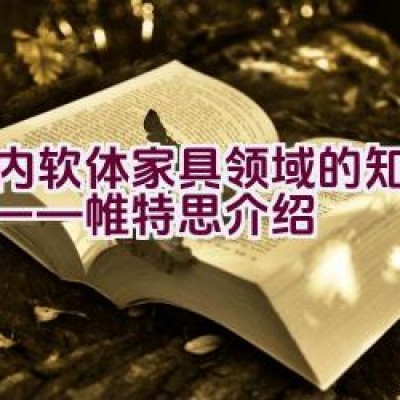 “国内软体家具领域的知名品牌——帷特思介绍”