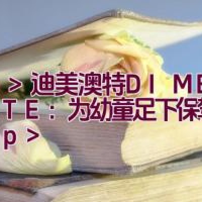 迪美澳特DIMEIAOTE：为幼童足下保驾护航