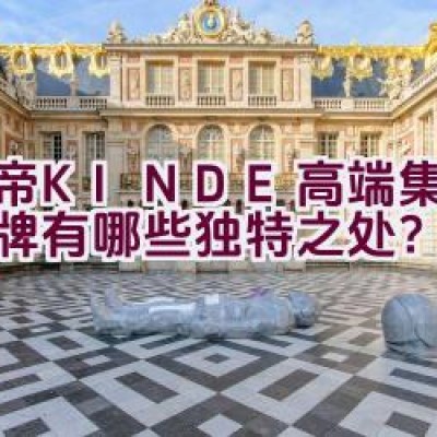 金帝(KINDE)高端集成灶品牌有哪些独特之处？