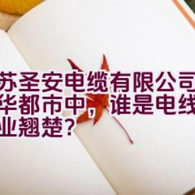 江苏圣安电缆有限公司：在繁华都市中，谁是电线电缆的行业翘楚？