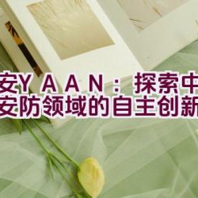 亚安YAAN：探索中国智能安防领域的自主创新典范？