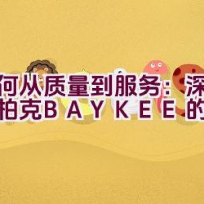 “如何从质量到服务：深入解析柏克BAYKEE的全面优势”