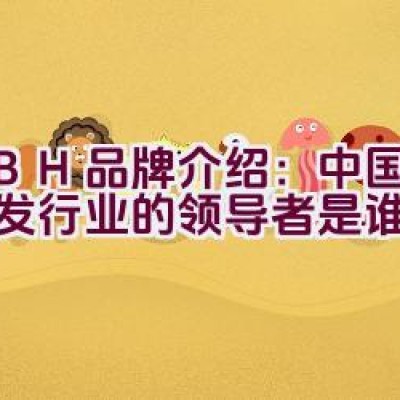 “KBH品牌介绍：中国布艺沙发行业的领导者是谁？”