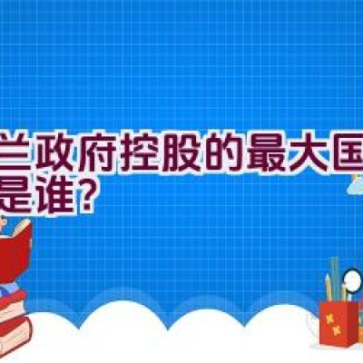 芬兰政府控股的最大国有企业是谁？