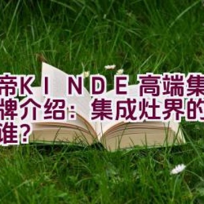 金帝(KINDE)高端集成灶品牌介绍：集成灶界的领航者是谁？