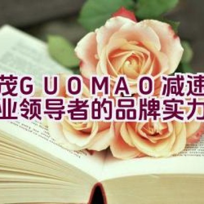 国茂GUOMAO减速机：行业领导者的品牌实力如何？