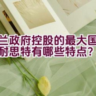 芬兰政府控股的最大国有企业耐思特有哪些特点？