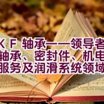 SKF轴承——领导者于全球轴承、密封件、机电一体化、服务及润滑系统领域？