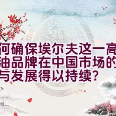 如何确保埃尔夫这一高端润滑油品牌在中国市场的专业传承与发展得以持续？