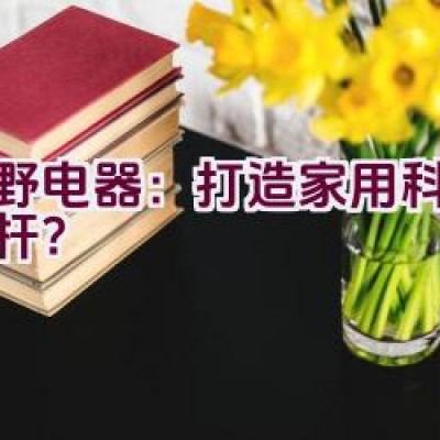 “夏野电器：打造家用科技新标杆？”